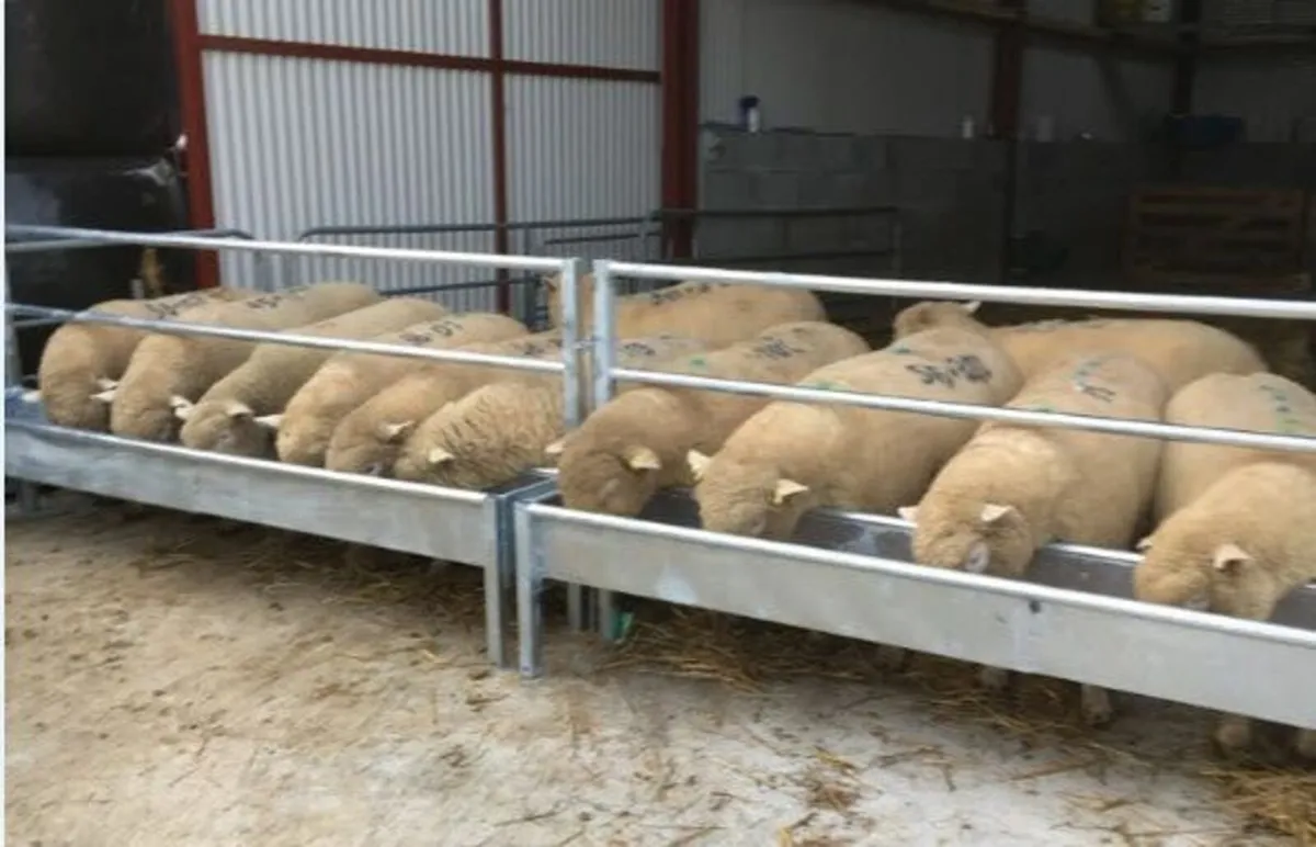 Feeding barriers - Image 4