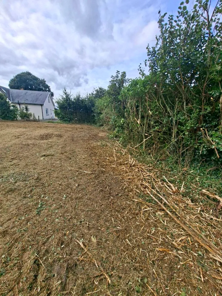 Tractor Mulching and 13 ton digger for hire - Image 3