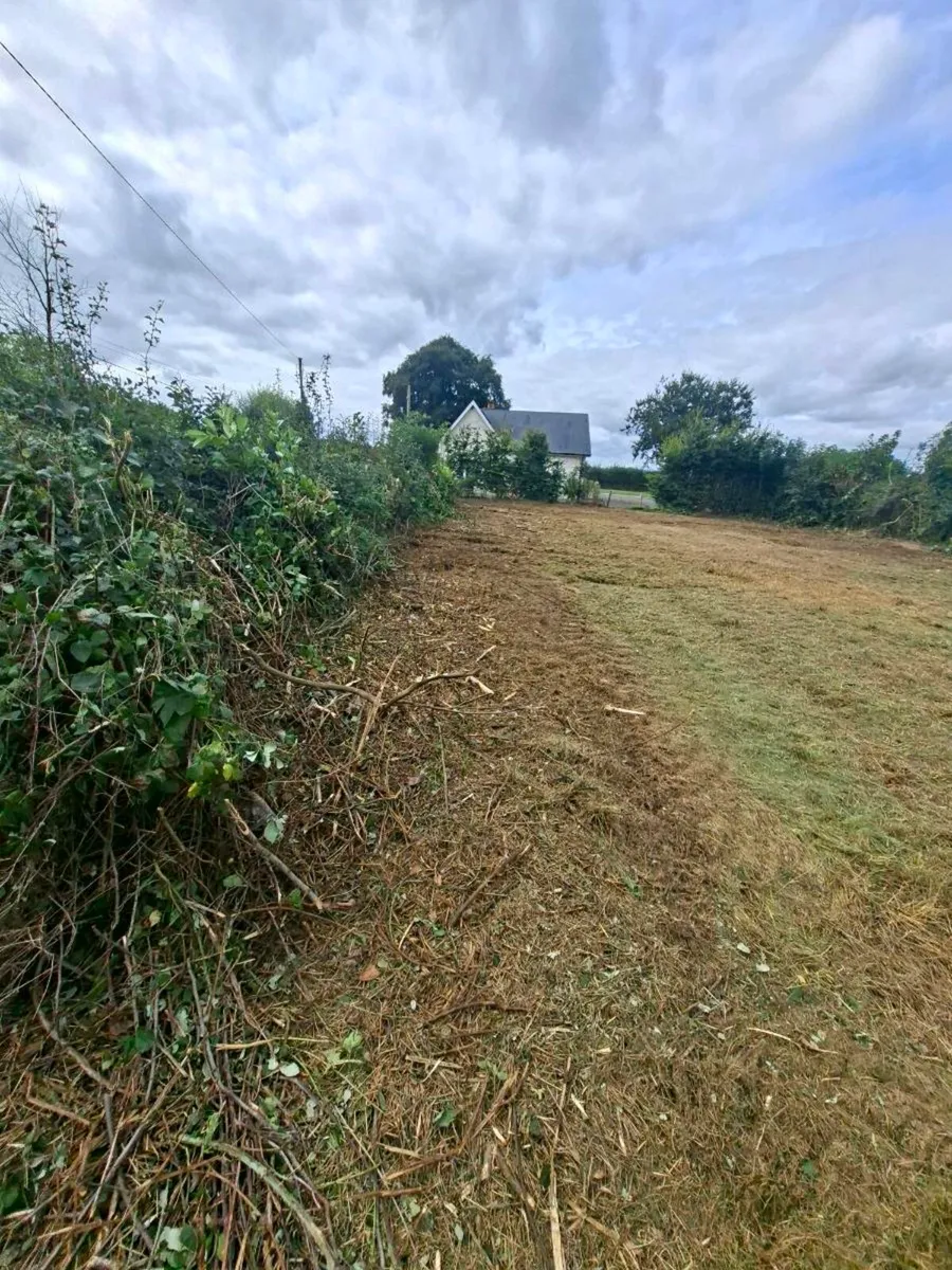 Tractor Mulching and 13 ton digger for hire - Image 4