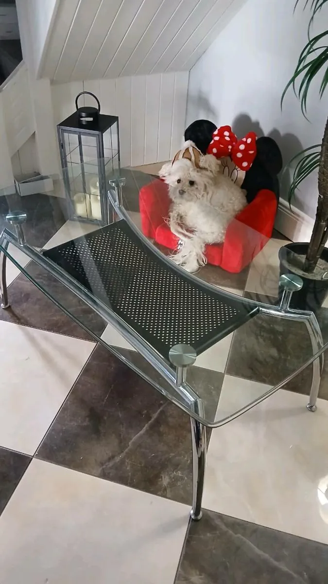 Large long chrome glass table - Image 2