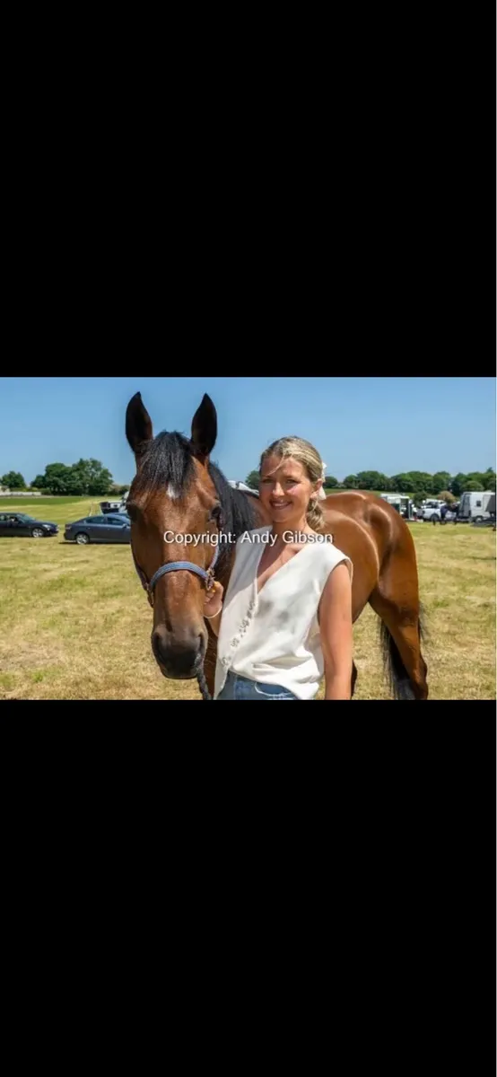 French trotter project - Image 4