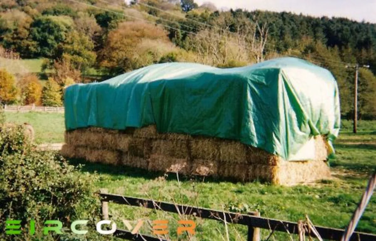 Standard Tarpaulin  6m x 10m   (20' - 33') 140 gsm - Image 2