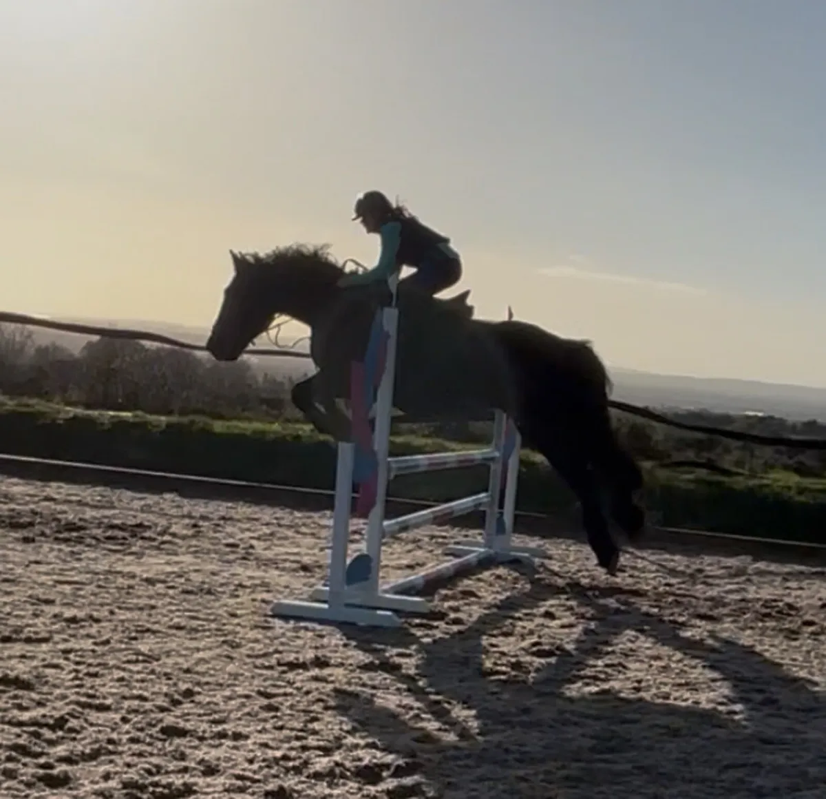 16h / 10 years young ultimate Allrounder - Image 1