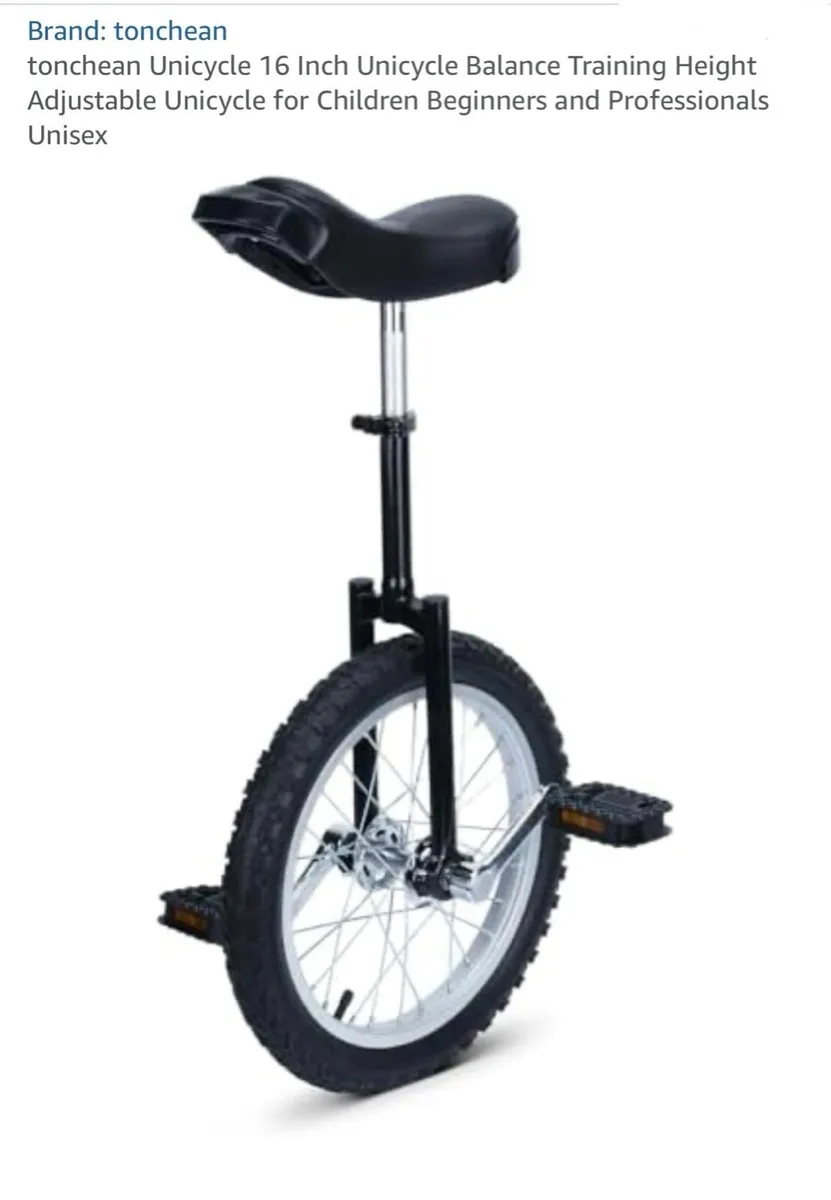 Unicycle - Image 1