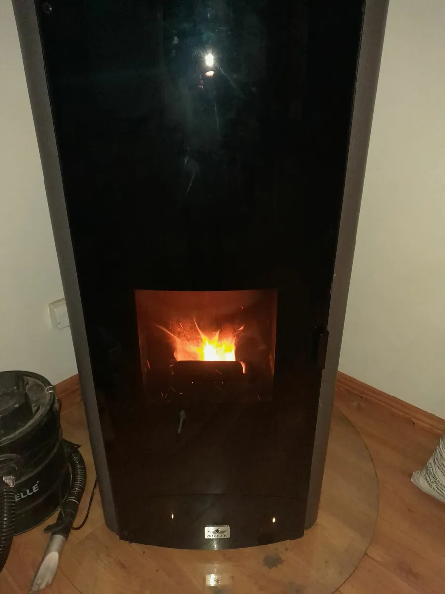 Wood Pellet Boiler Stove - Image 2