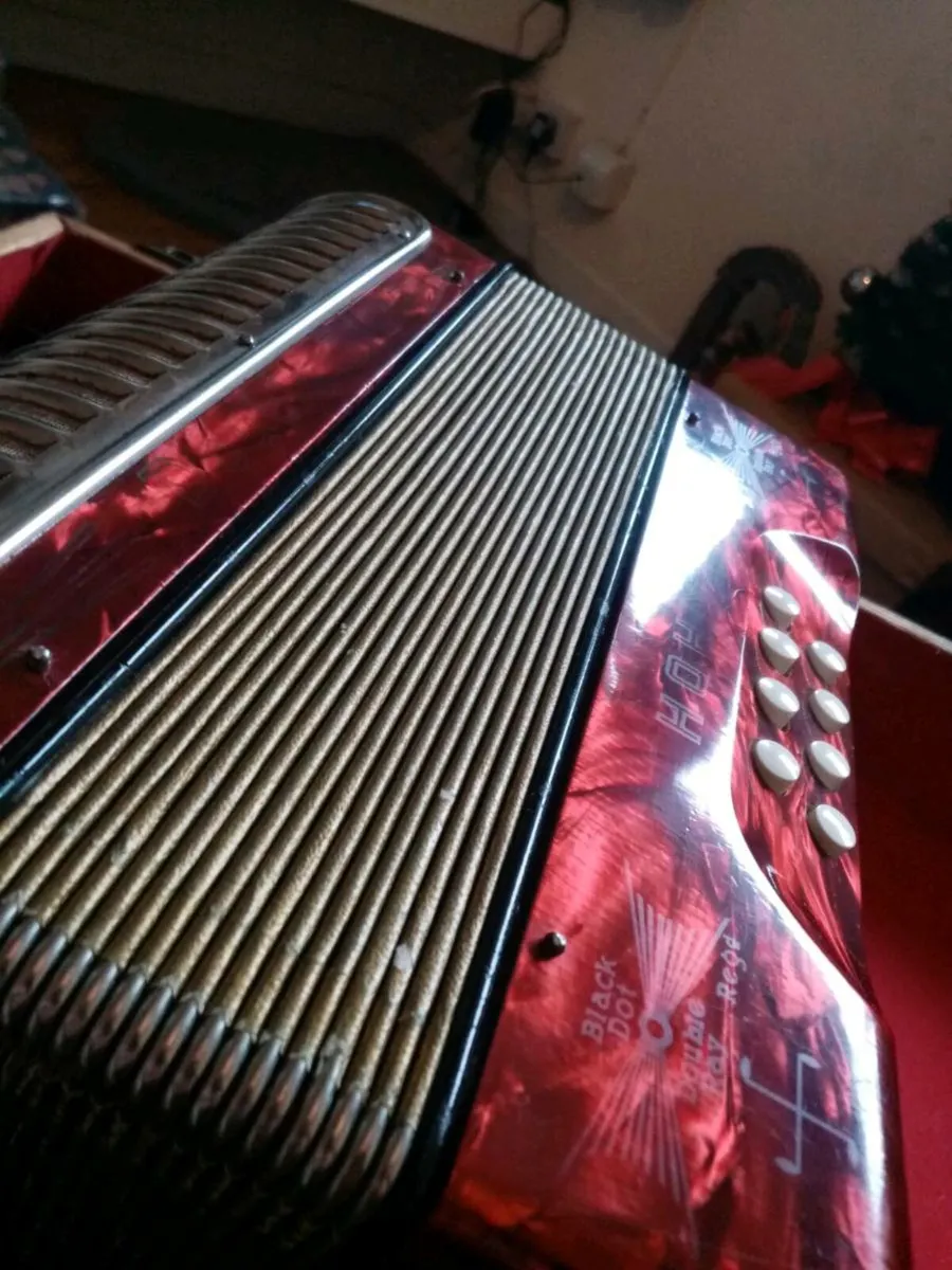 HOHNER Black Dot Double-Ray Accordion - Image 3