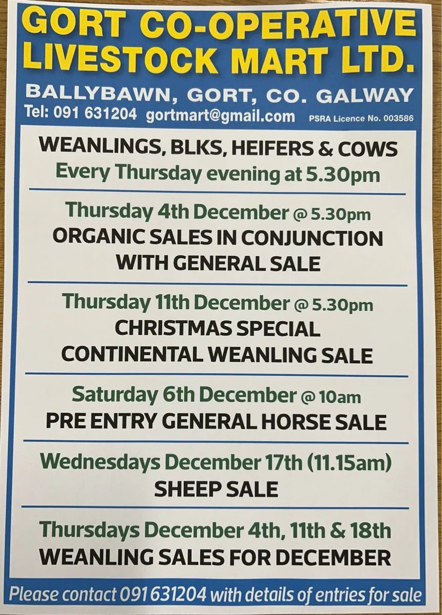 Gort Mart Horse Sale : Saturday 6th December - Image 1