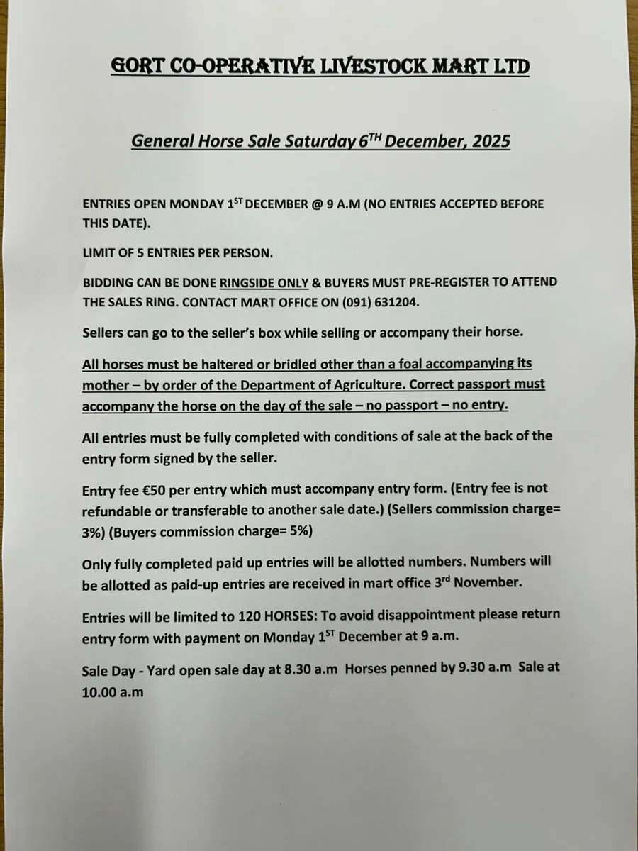 Gort Mart Horse Sale : Saturday 6th December - Image 3