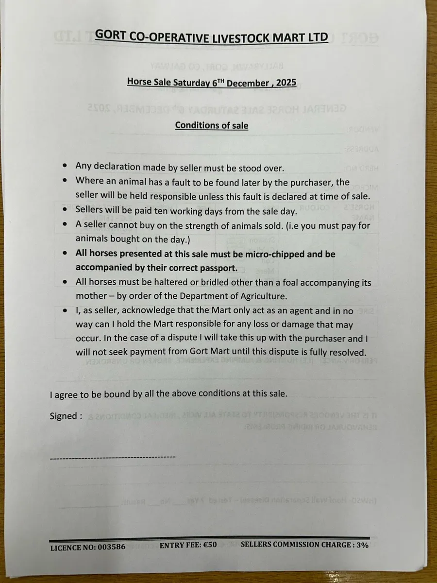 Gort Mart Horse Sale : Saturday 6th December - Image 4