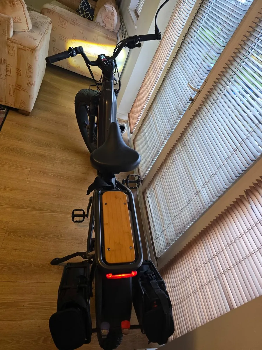 Fiido Titan Electric bike - Image 4
