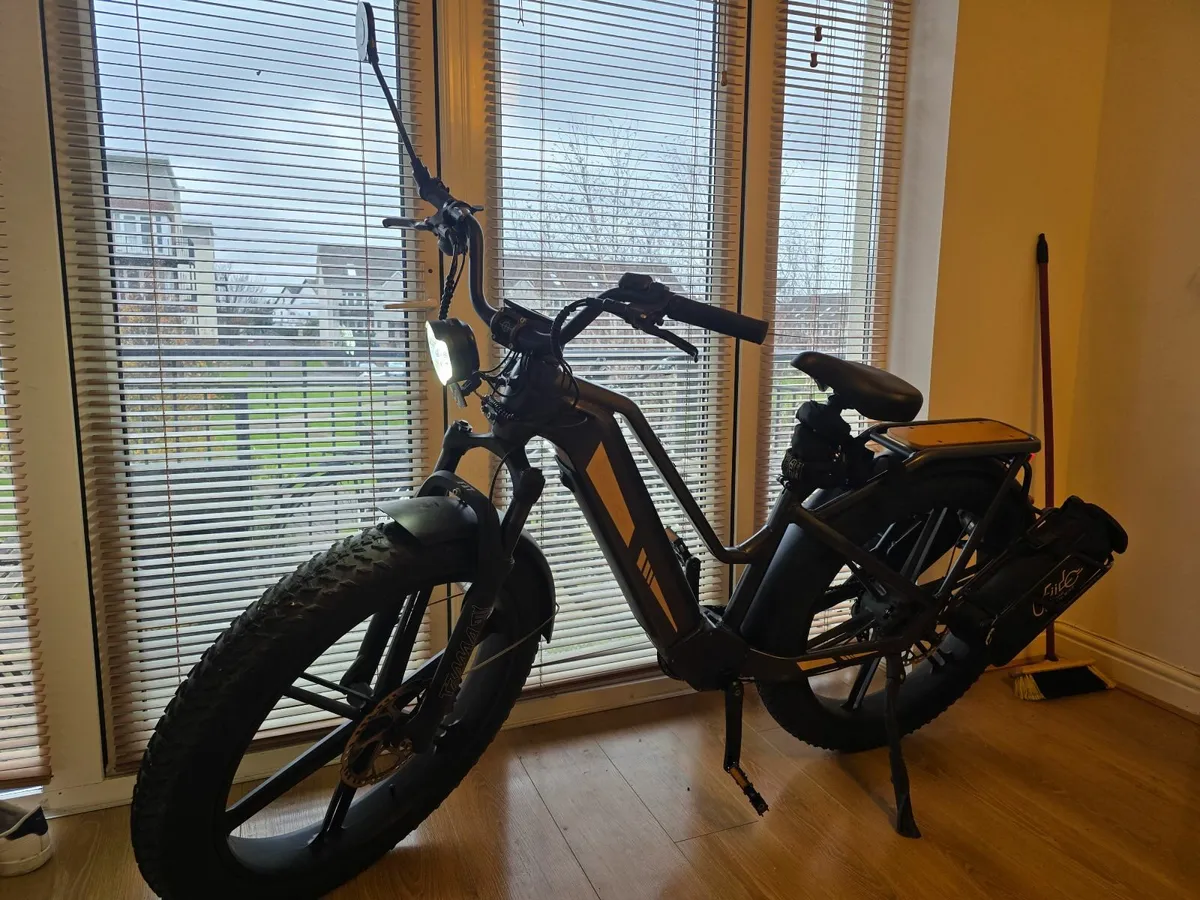 Fiido Titan Electric bike - Image 1