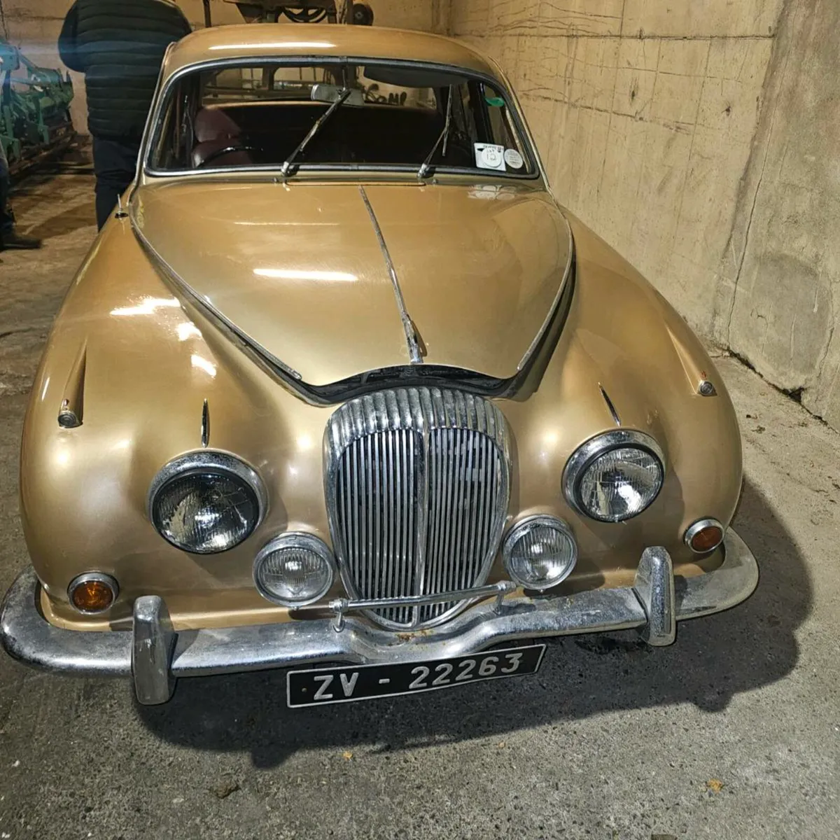 Clearance Auction - Image 2