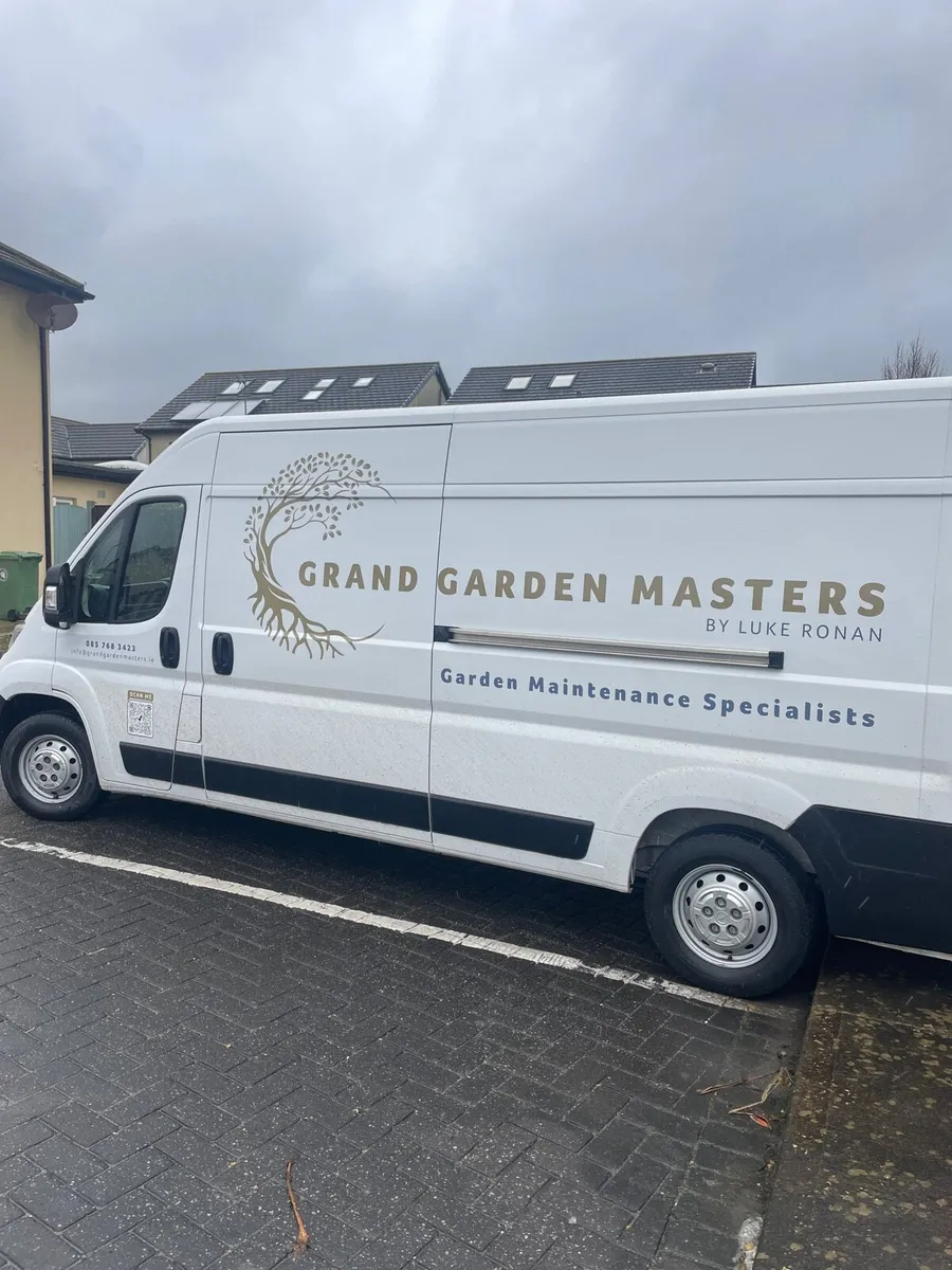 Opel Movano - Image 2