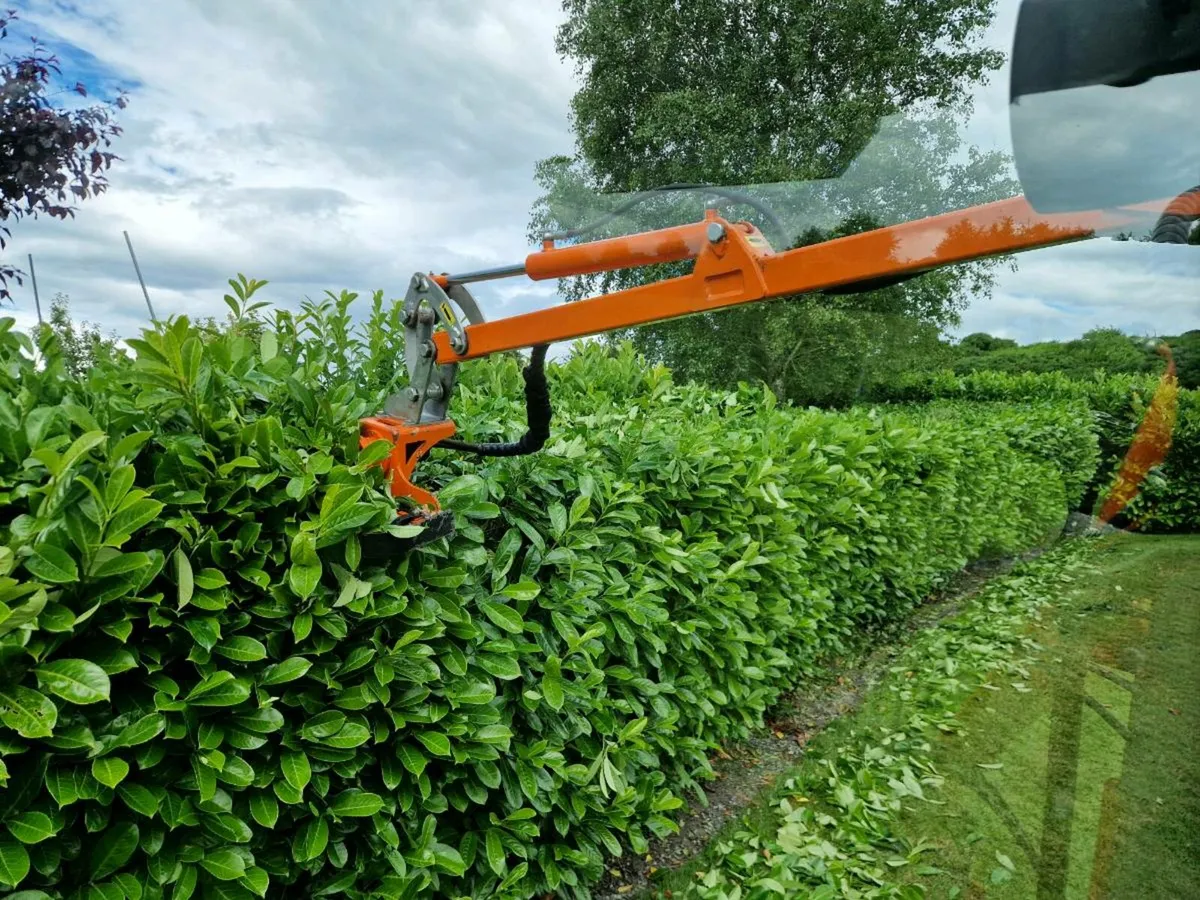 Rinieri BRM 150 hedgetrimmer - Image 3