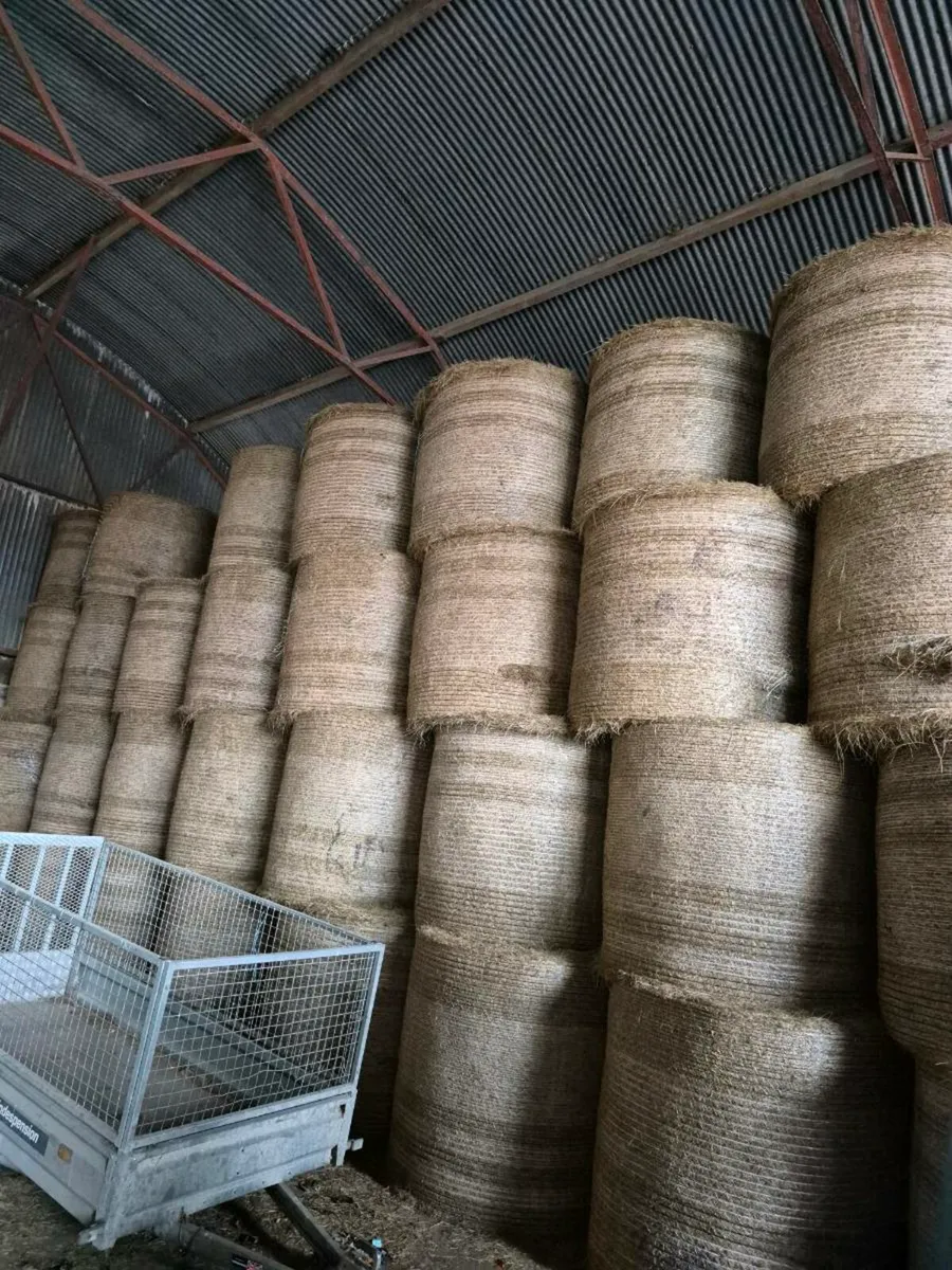 Hay for sale - Image 1