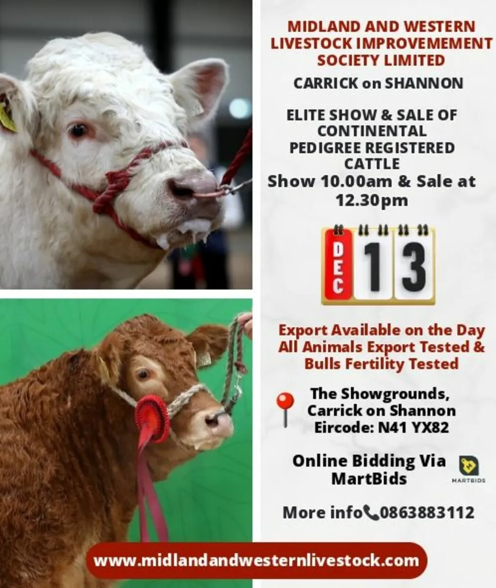 Midland & Western Elite Continental Show & Sale