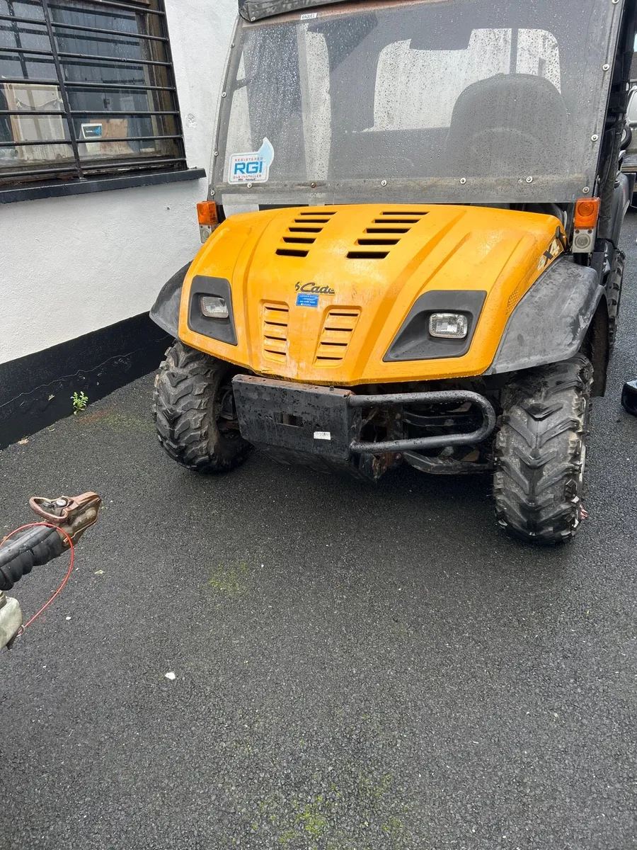 Ifor Williams 14 x6”6 & cub cadet buggy/ ramps - Image 1