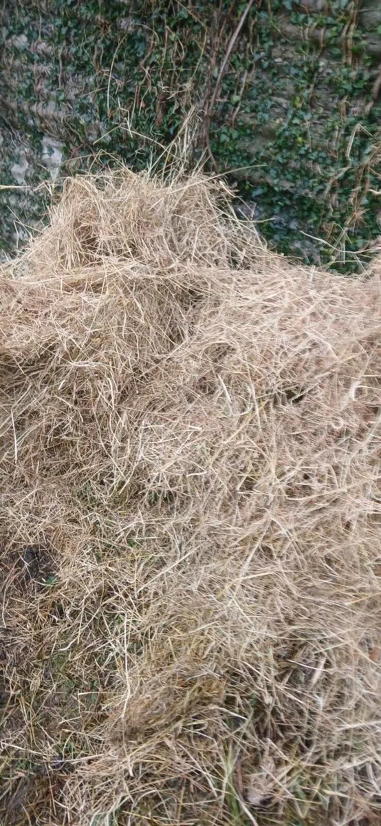 ORGANIC CERTIFIED HAY - Image 2