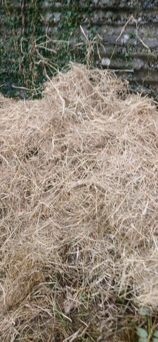 ORGANIC CERTIFIED HAY - Image 3