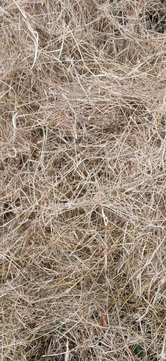 ORGANIC CERTIFIED HAY - Image 4