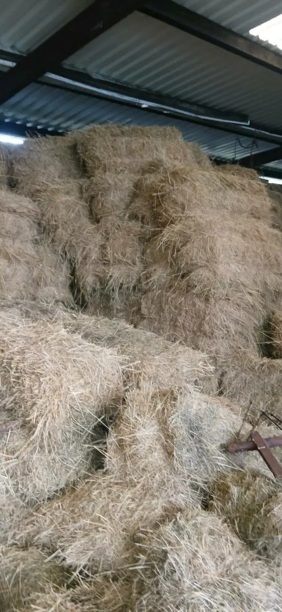 ORGANIC CERTIFIED HAY - Image 1