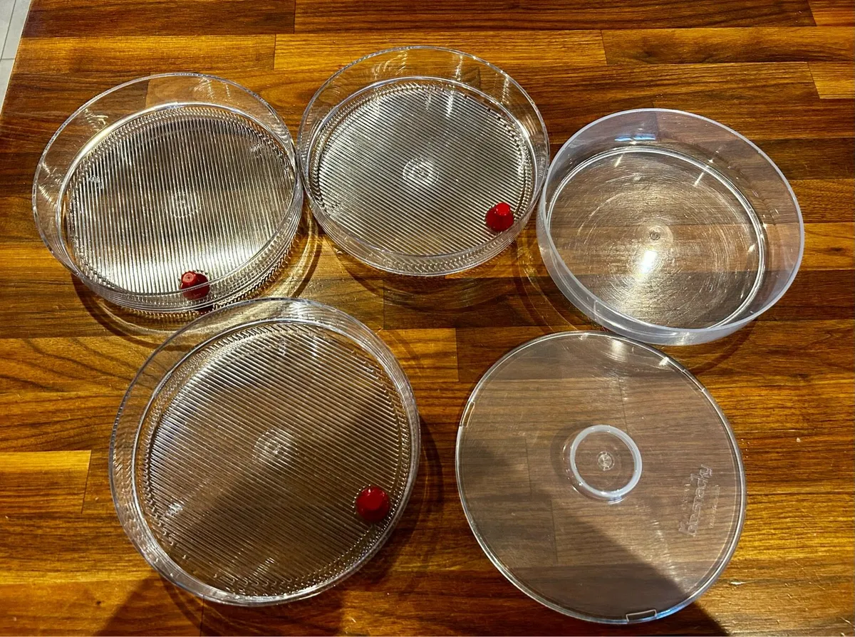 A Vogel Biosnacky Germinator - Image 3