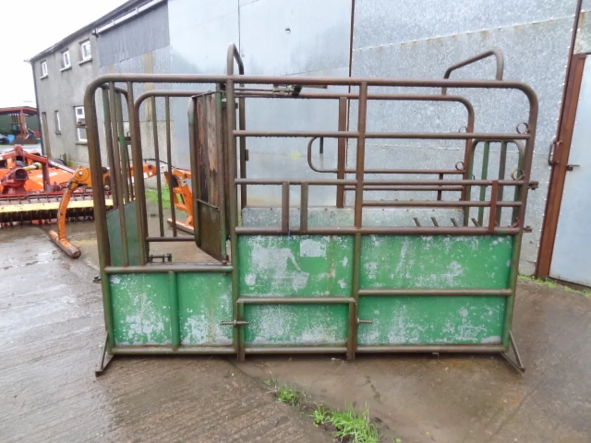 Portable Cattle Crush - Image 2