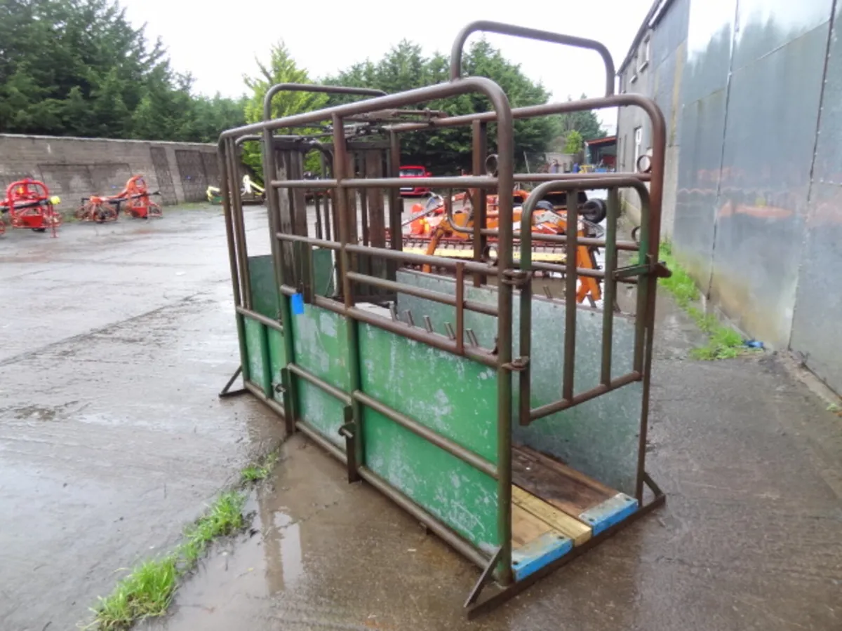 Portable Cattle Crush - Image 3