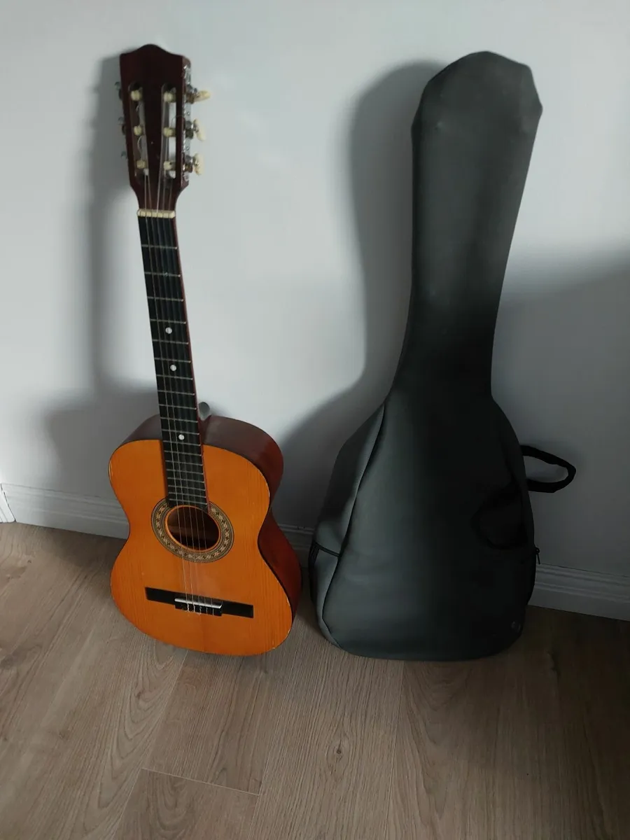 Guitar