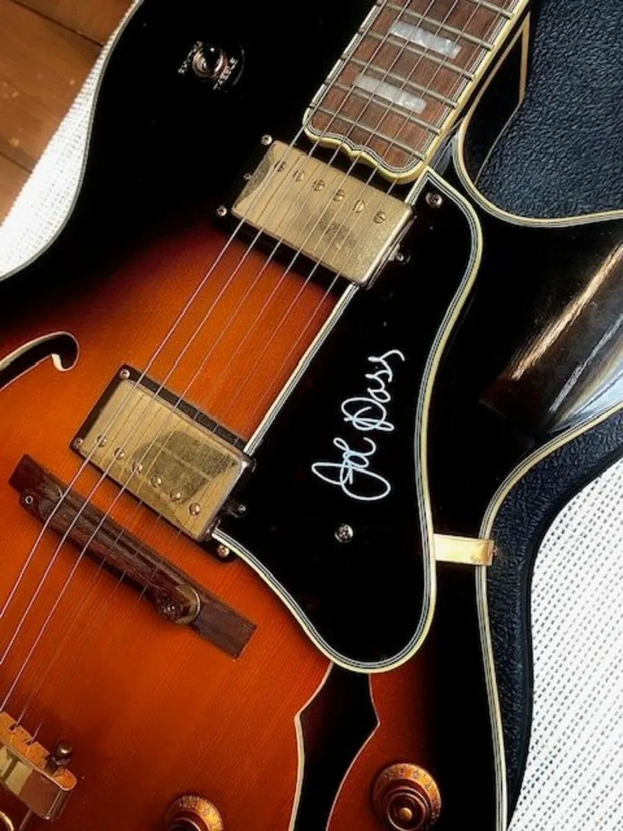 Epiphone Joe Pass Emperor II - Image 4