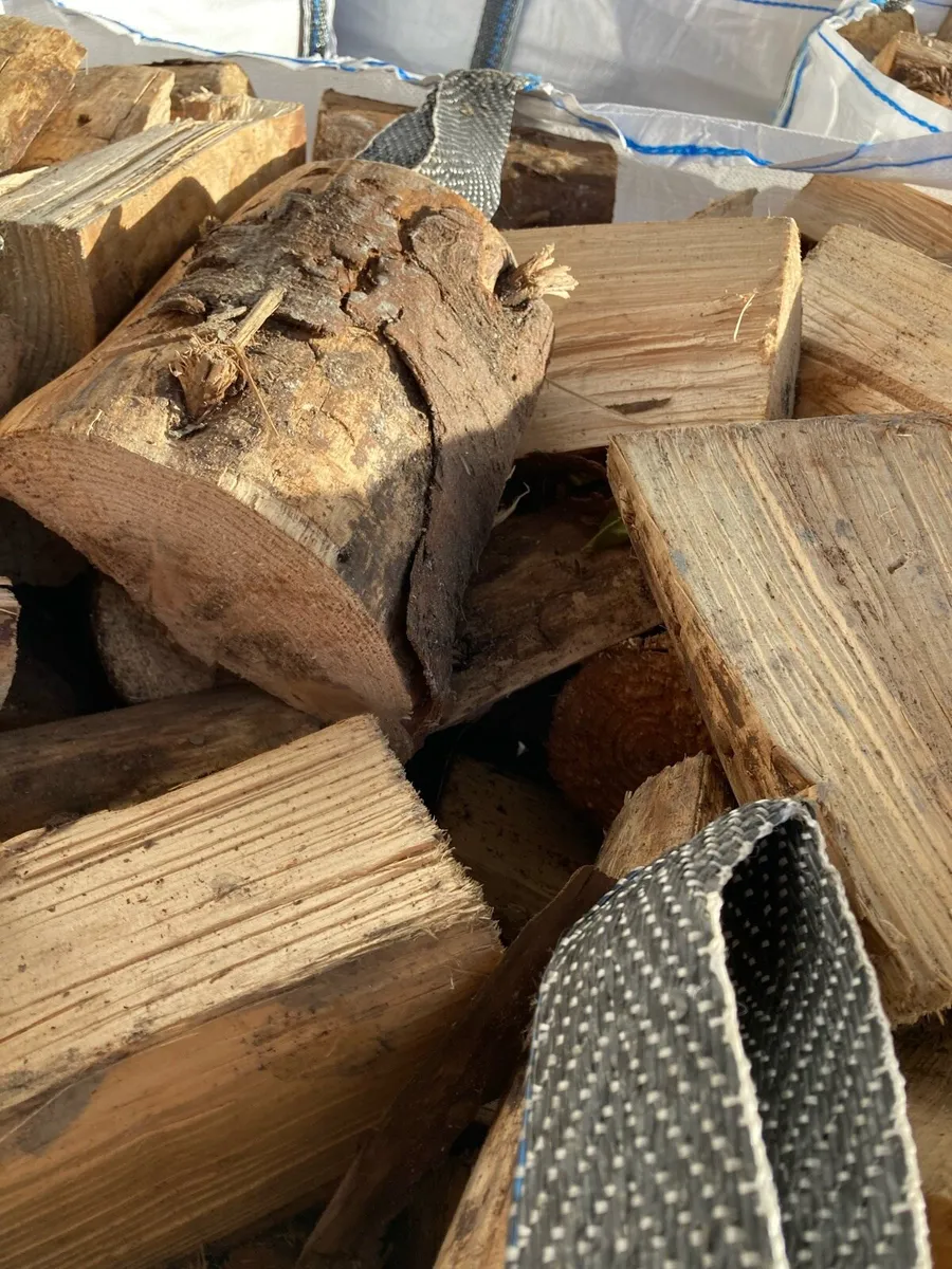 Firewood - Image 2