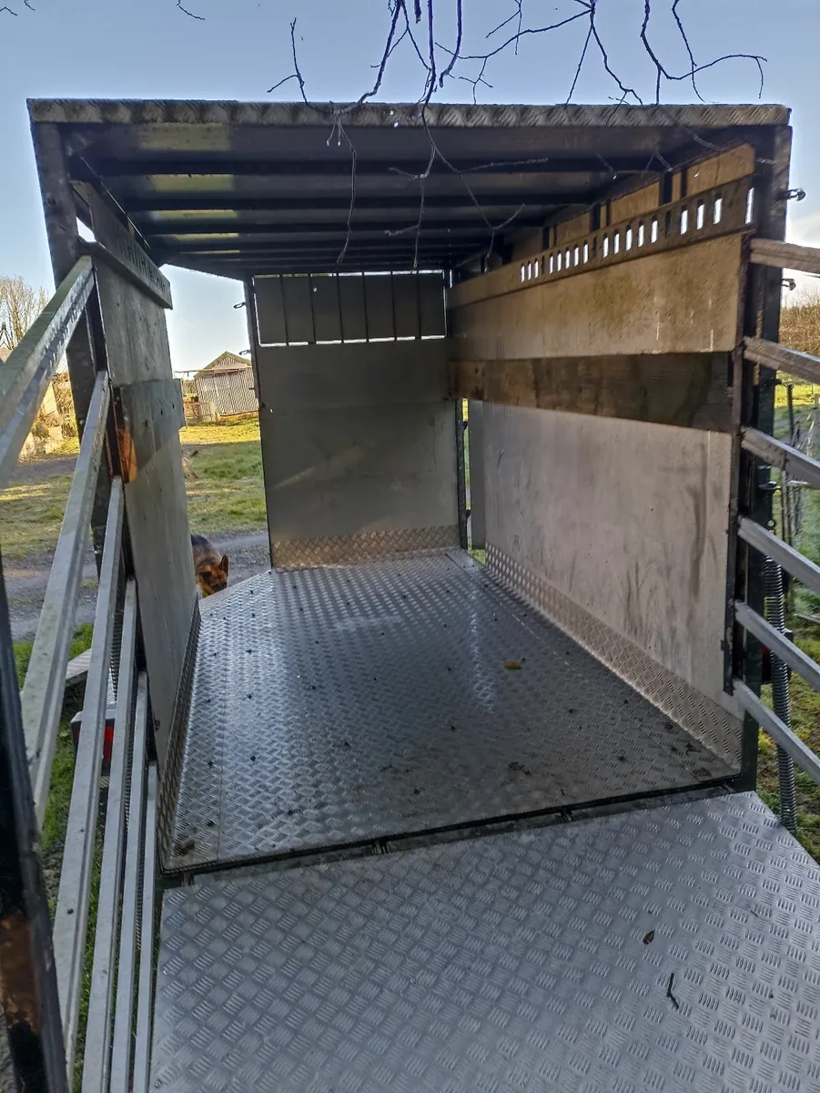 livestock trailer - Image 3