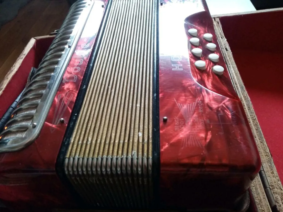 HOHNER Black Dot Double-Ray Accordion - Image 4