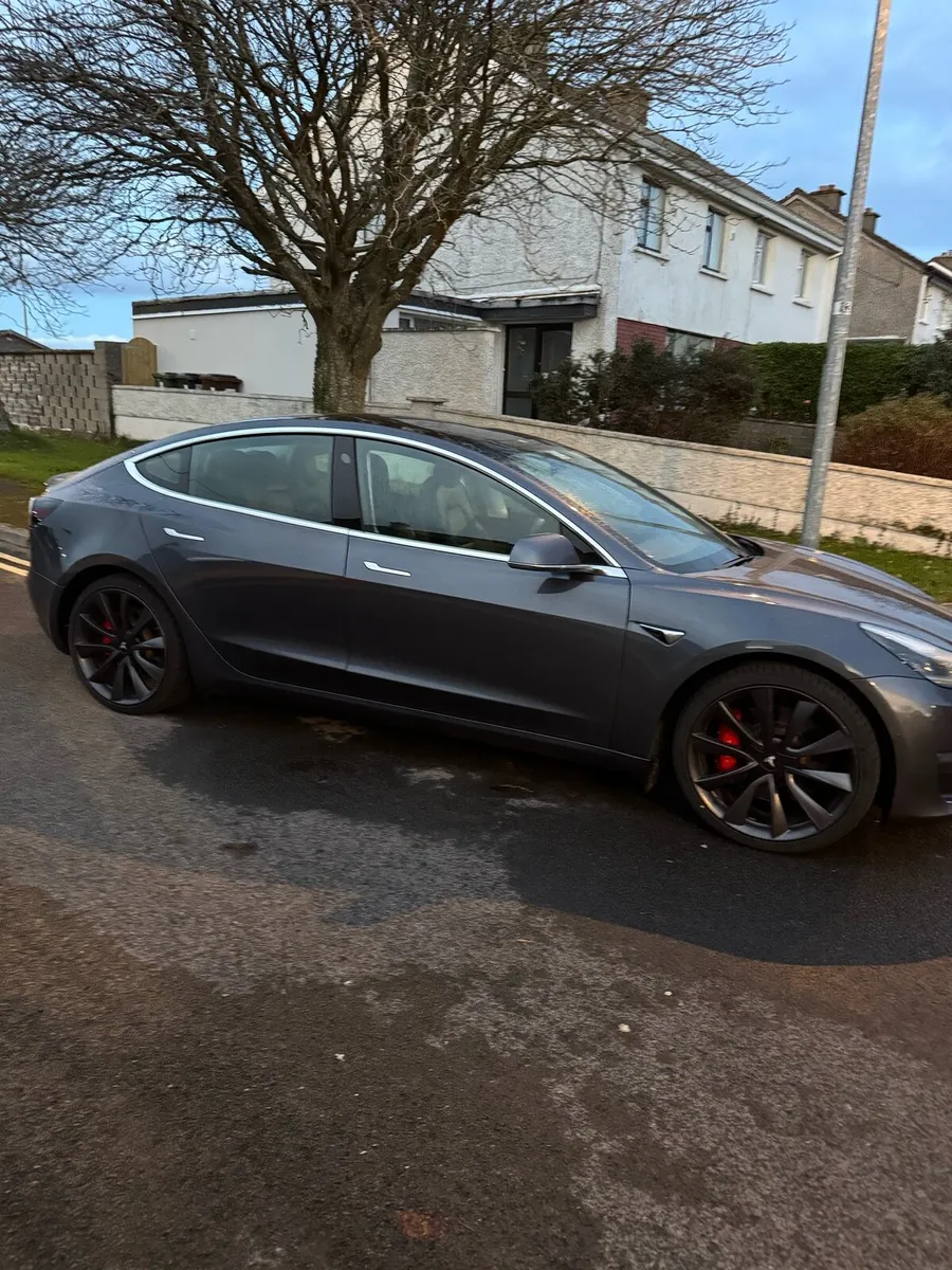 Tesla Model 3 Performance - Image 2
