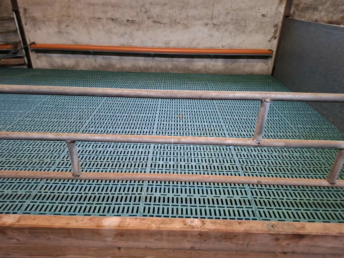 Sheep slats, gates,feeders