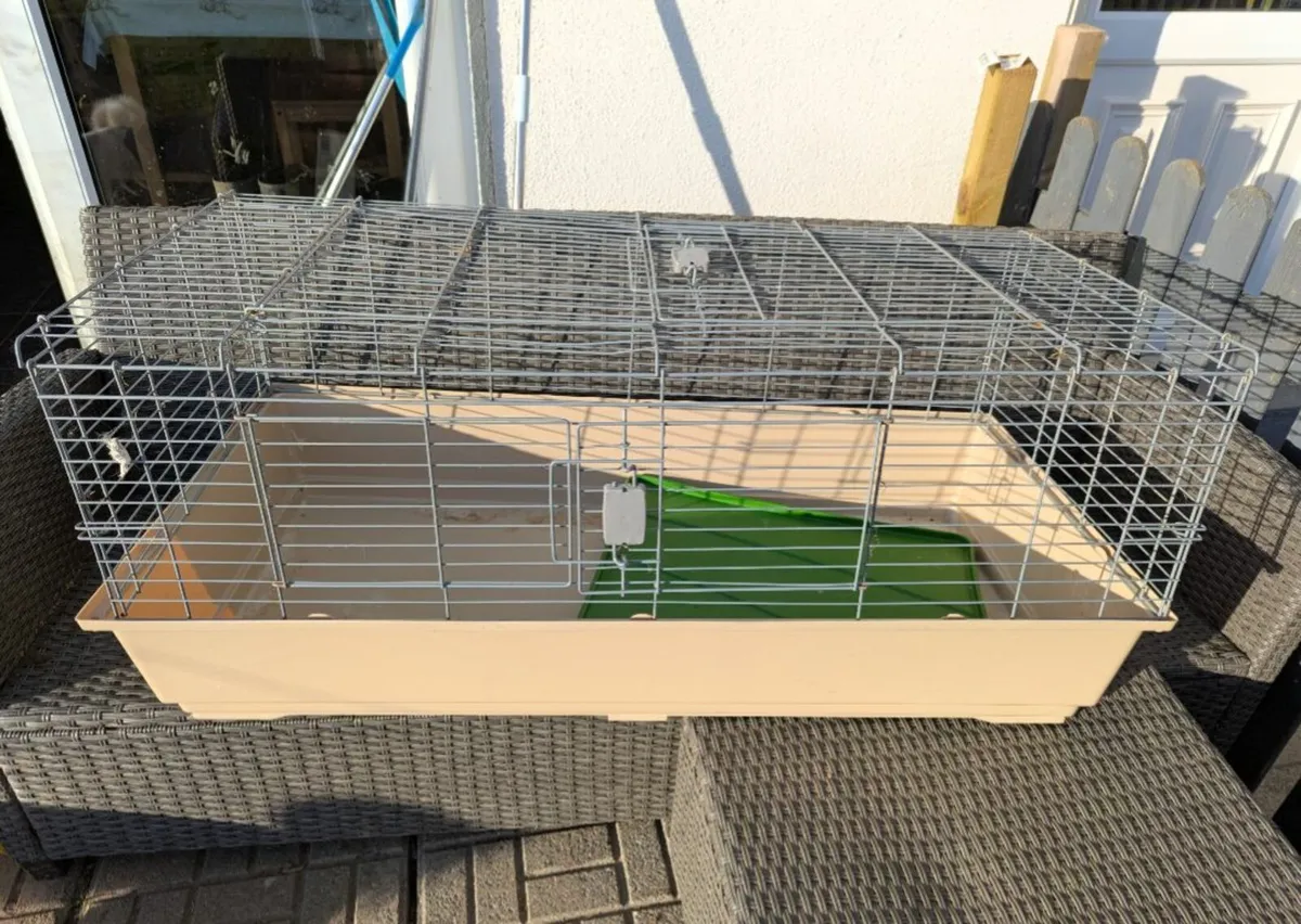 Guinea pigs, fish and cages - Image 4