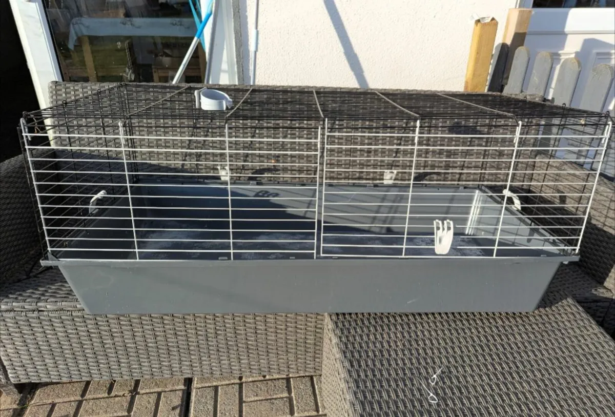 fish, fish tank and indoor cages - Image 3