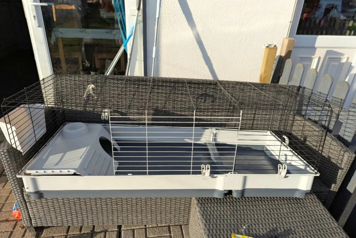 fish, fish tank and indoor cages - Image 4