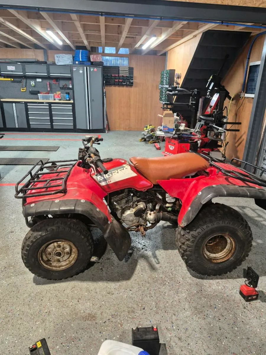 Honda Fourtrax 250 - Image 3