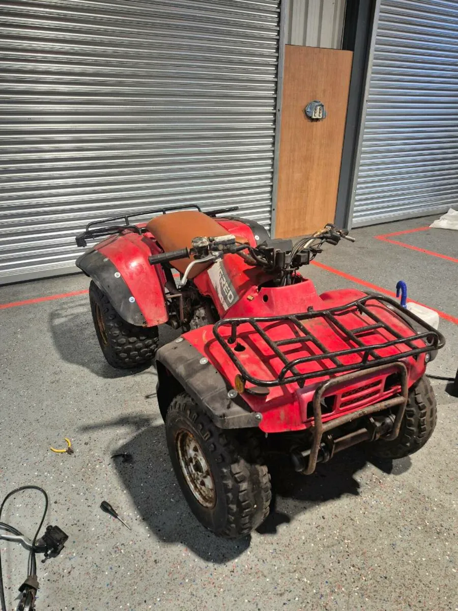 Honda Fourtrax 250 - Image 1