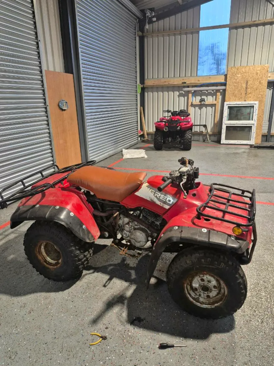Honda Fourtrax 250 - Image 4