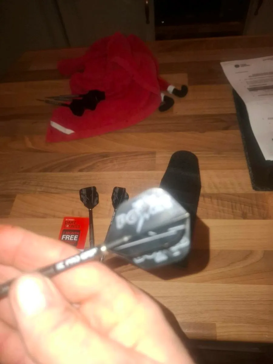 Darts - Image 2
