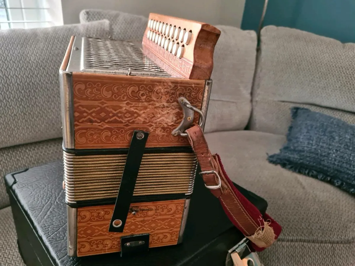 Accordion - Image 3