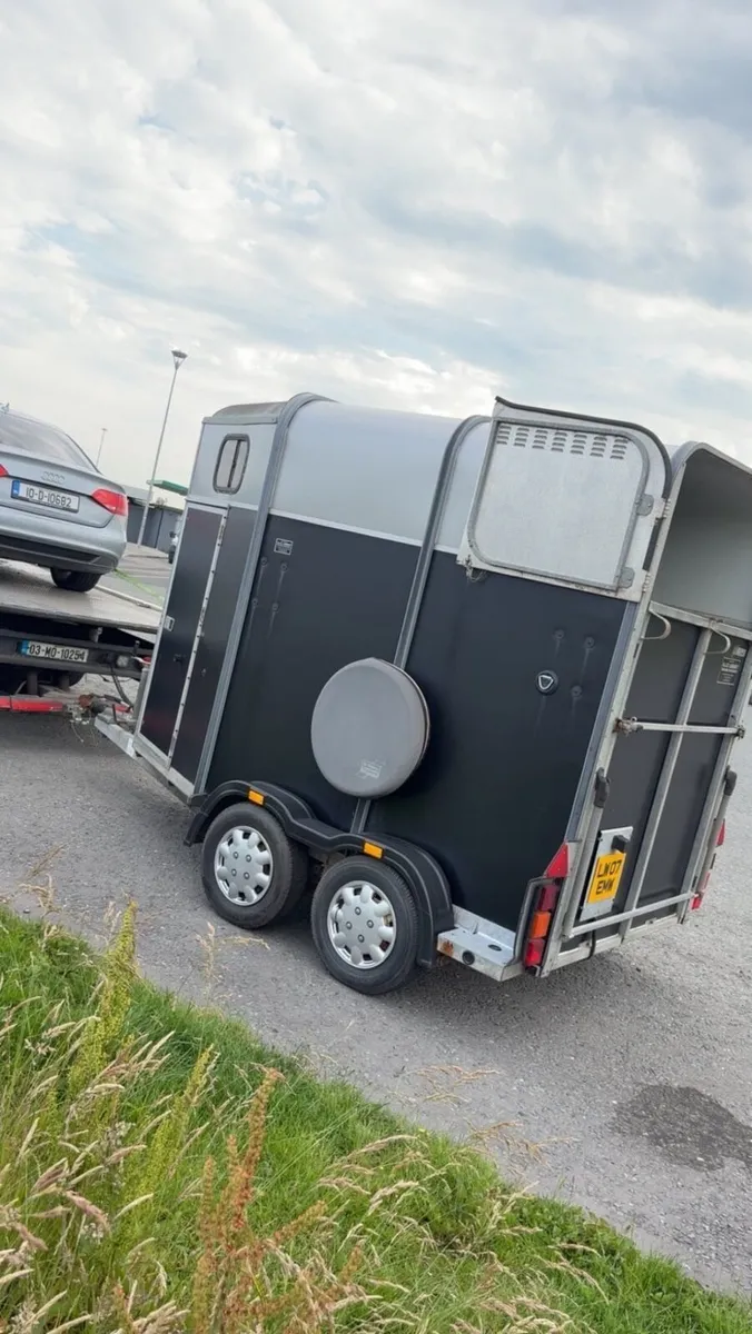 IFor Williams 505 classic - Image 4