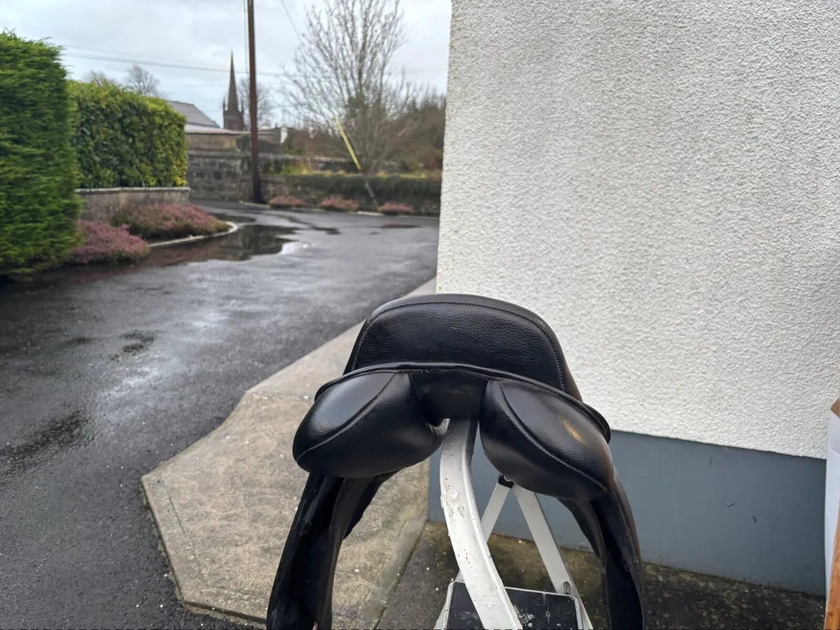 Saddle - Image 2