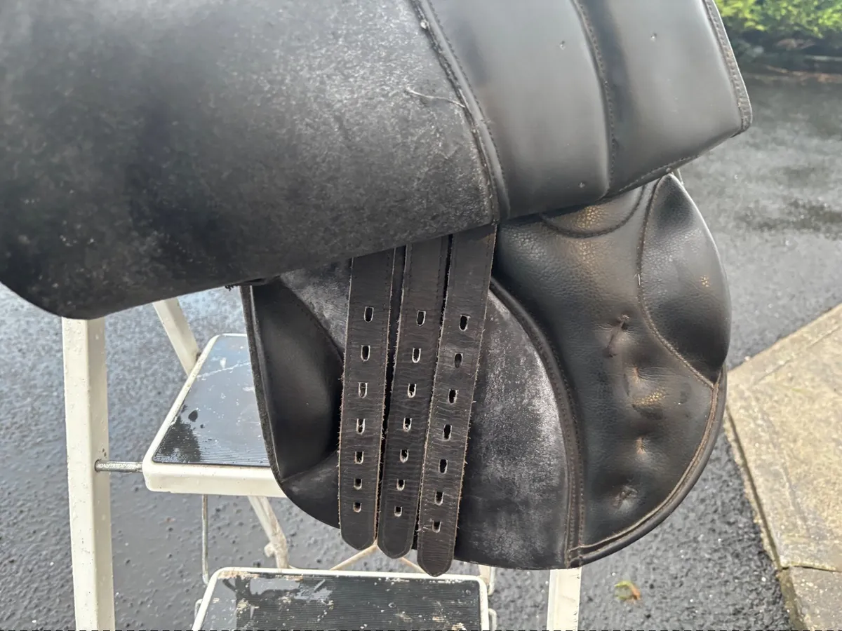 Saddle - Image 3