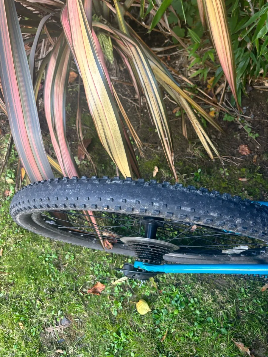 Trek Marlin 5 - Image 4