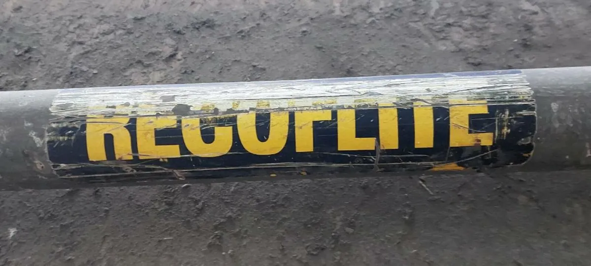 Over-Head Corn Grain Hopper & Auger - Image 3