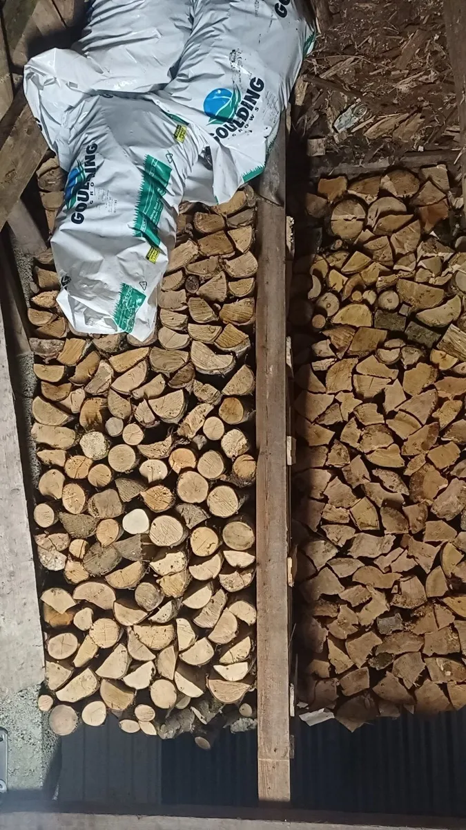 Firewood - Image 3