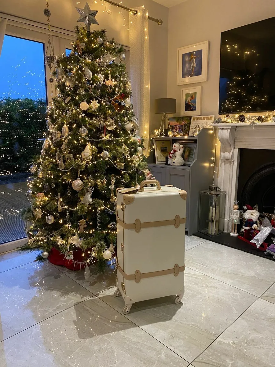 Steamline Stowaway Suitcase (The Sweetheart) - Image 1